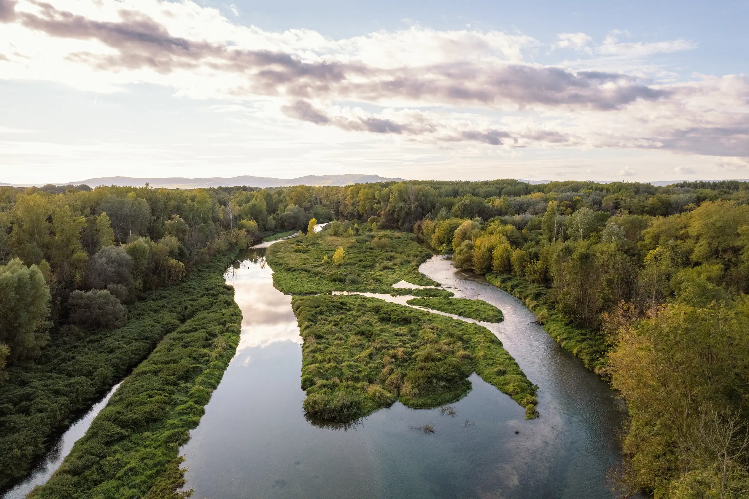 Blick auf das Projektgebiet Life Traisen von oben. Es herrscht Abendstimmung. Violett-bläuliche Wolken spiegeln sich in der Traisen.